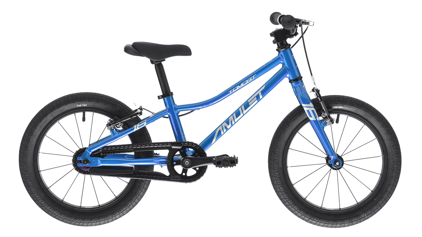 AMULET 16 Tomcat 2025