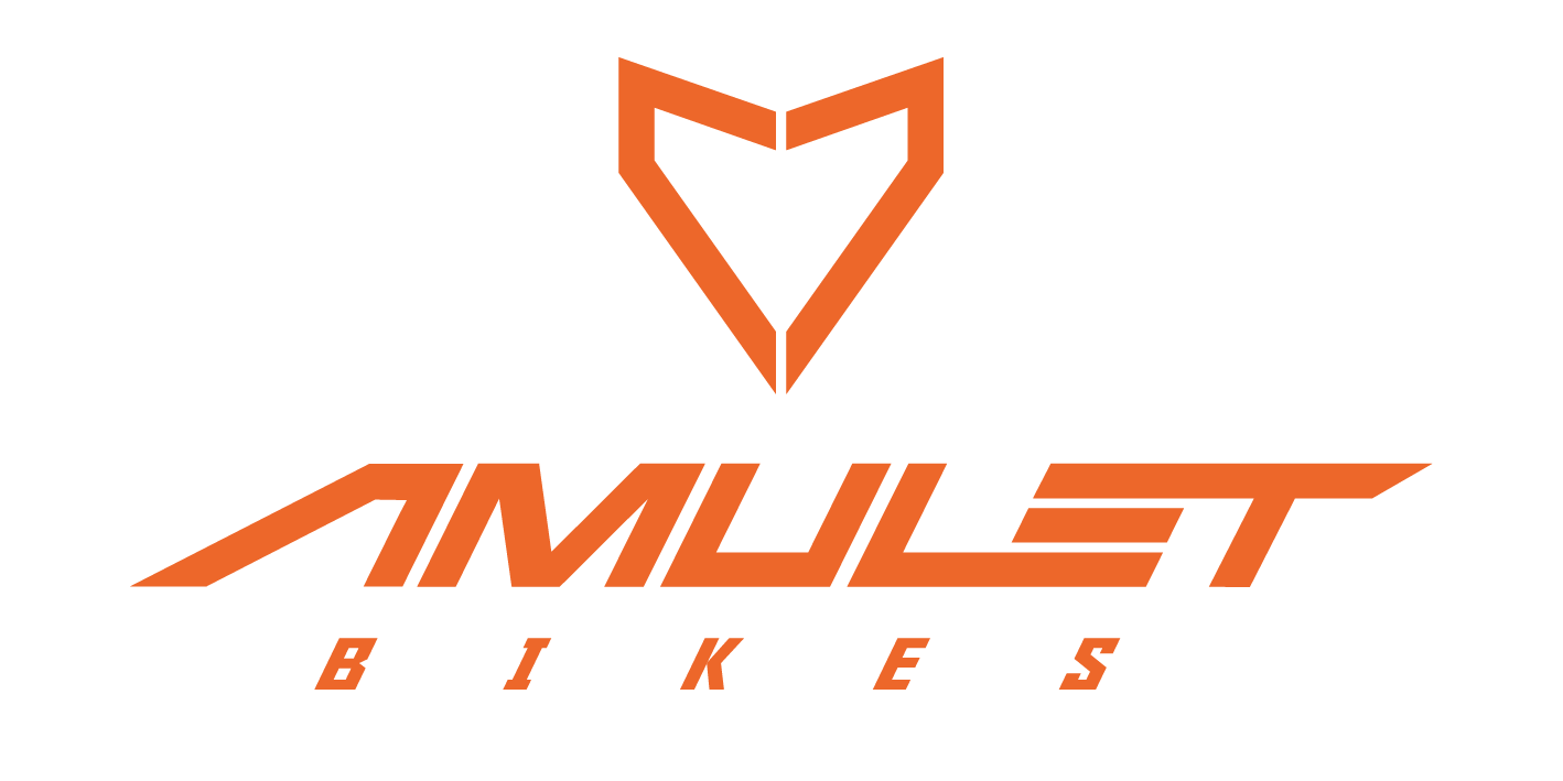 AMULET 29 eRival 5.5 SH 2025