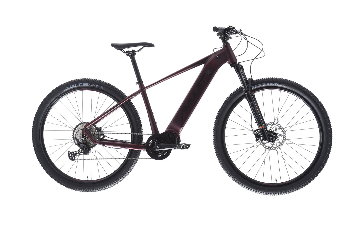 AMULET 29 eRival 5.5 SH 2025