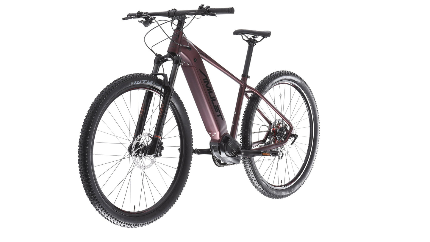 AMULET 29 eRival 5.5 SH 2025