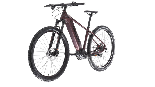 AMULET 29 eRival 5.5 SH 2025