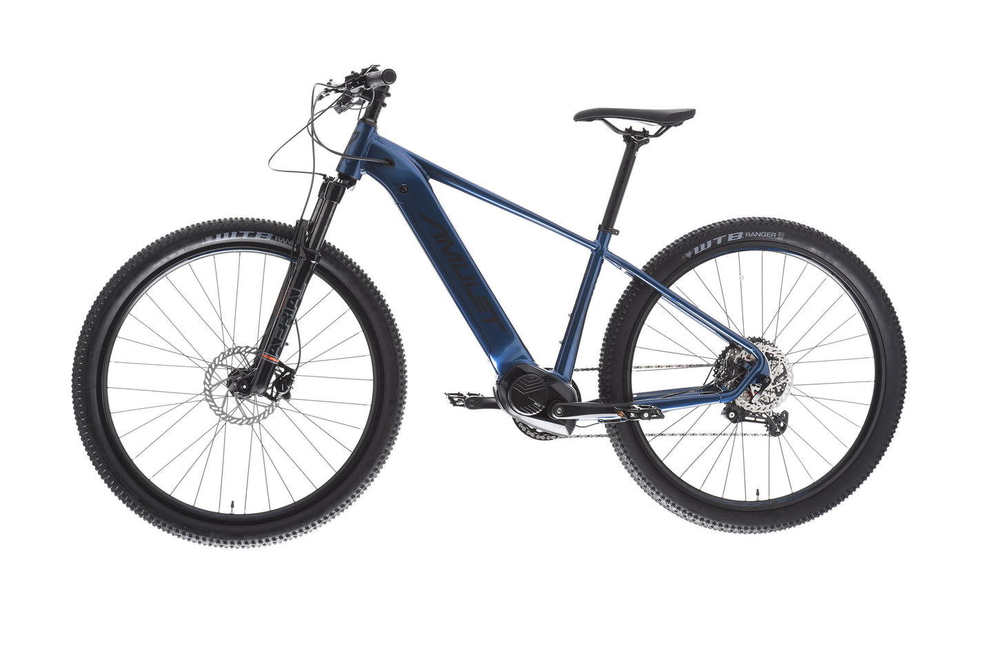 AMULET 29 eRival 5.5 SH 2025