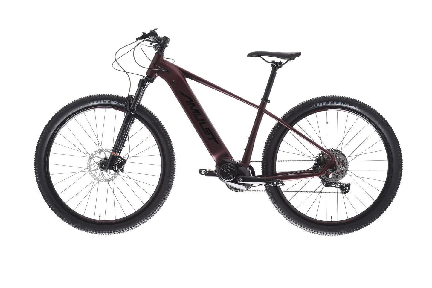 AMULET 29 eRival 5.5 SH 2025