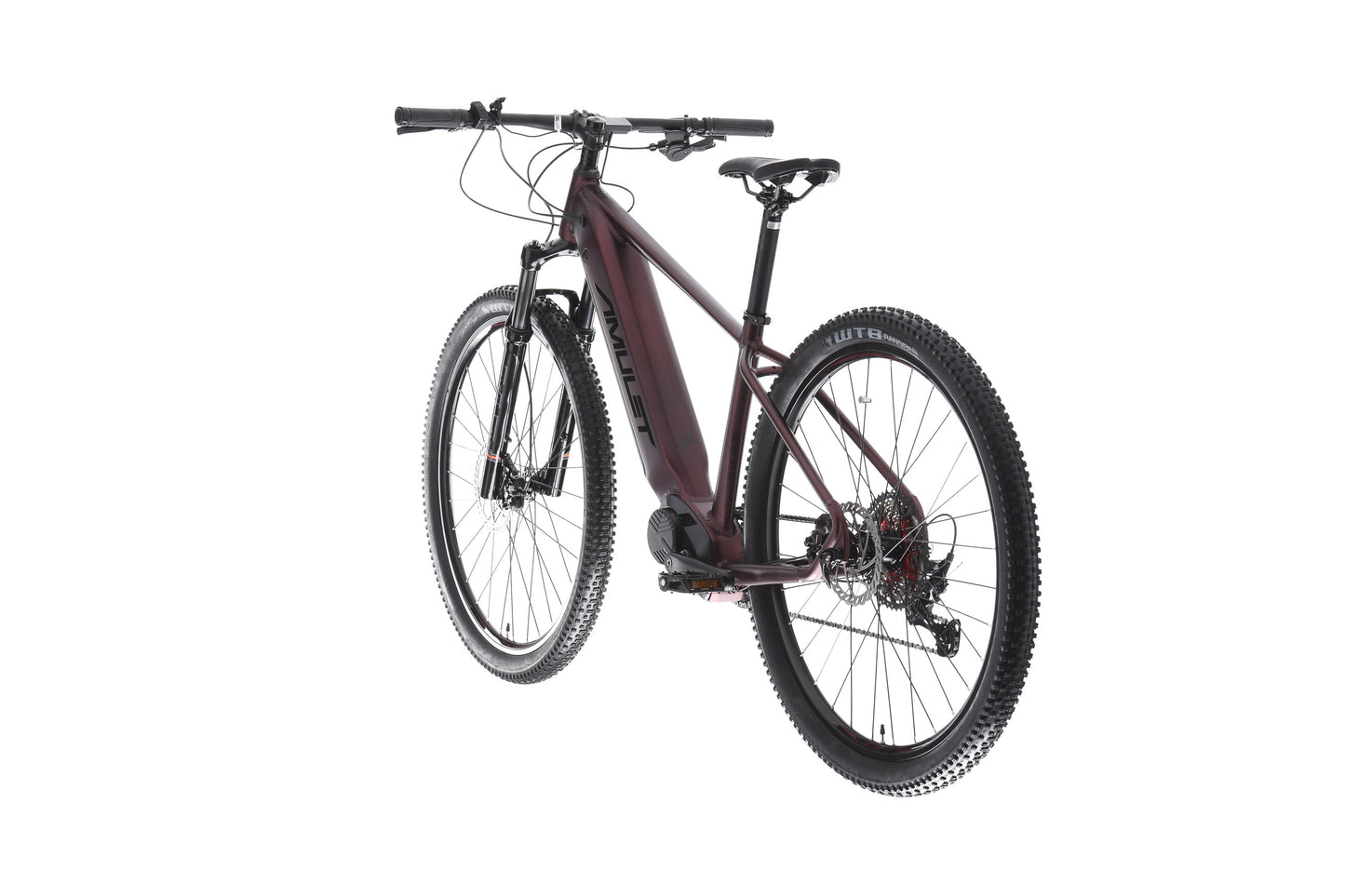 AMULET 29 eRival 5.5 SH 2025