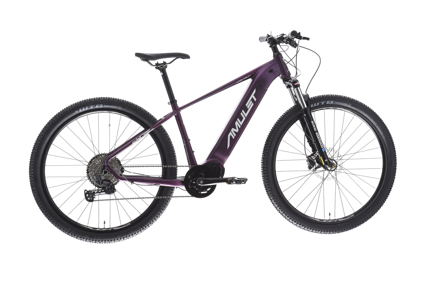 AMULET 29 eRival 5.0 SH 2025